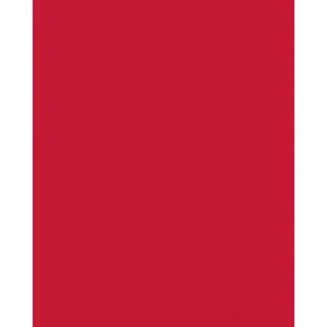 Beperkt Aanbod Etalagekarton Folia 1-zijdig 48x68cm 380gr nr211 rood